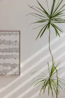 아트워크와 식물이 만나는 감각적인 오피스 코너